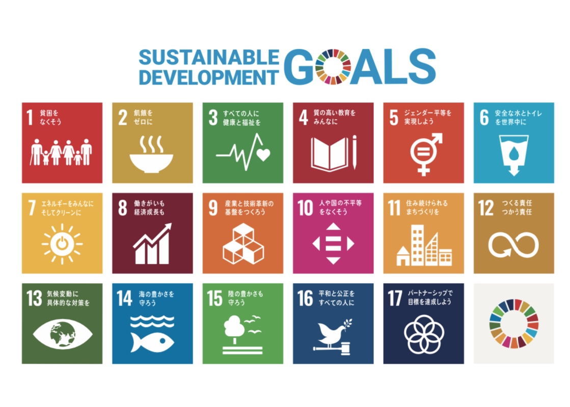 【﻿S﻿D﻿G﻿s﻿の﻿世﻿代﻿間﻿ギ﻿ャ﻿ッ﻿プ﻿】 脱炭素社会や海洋汚染､脱プラスチック､性差別､児童労働､児童婚,食品ロスなど､現代社会が抱える環境問題や社会課題